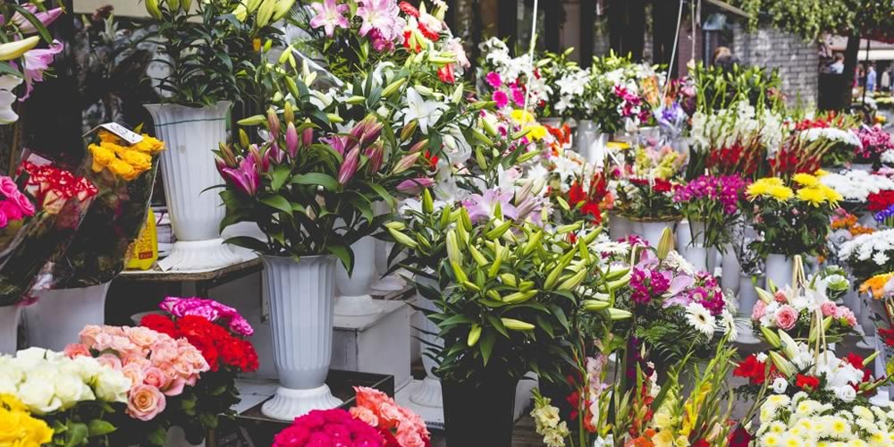 brizzys-market-flowers-1