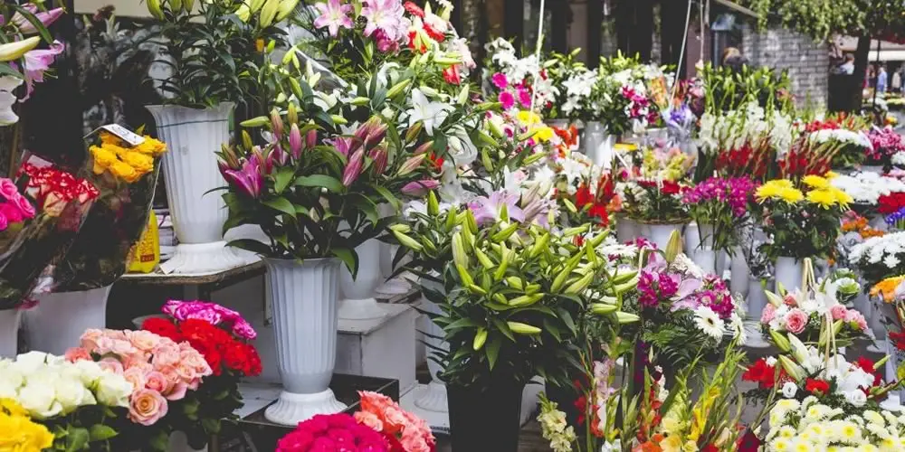 brizzys-market-flowers-1